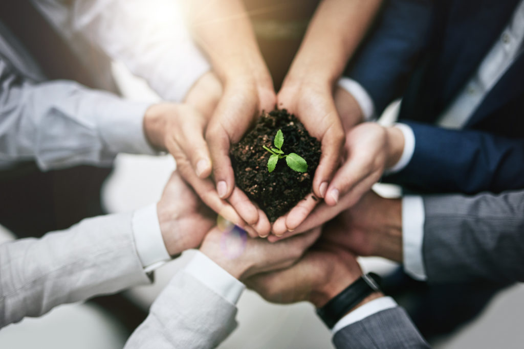 Photo du dessus d'une équipe de travail tenant un jeune plante grandissant de la terre